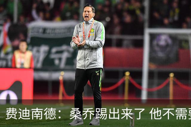 费迪南德：桑乔踢出来了 他不需要再与其他人竞争